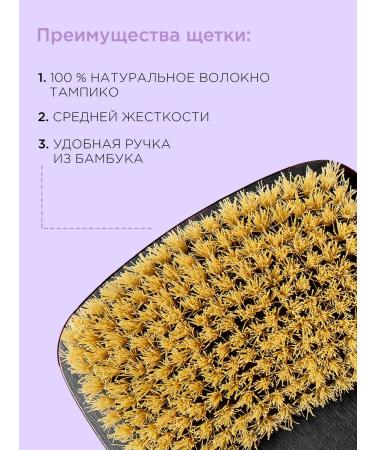 Sammy Beauty Cosmetics Cosmetics Set of High Creation for Women - Buy Online on GoSupps.com