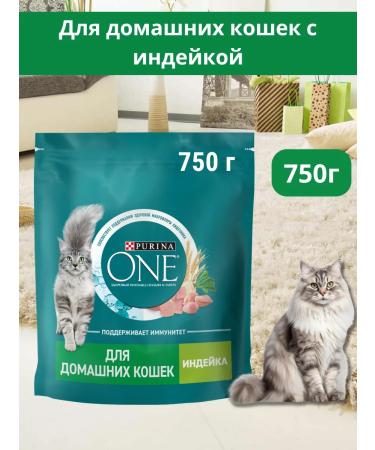 PURINA ONE Dry food for homemade cats with a turkey 750g