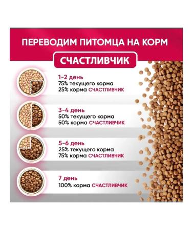 Lucky guy Dry food cats Assorted 5kg - Buy Online on GoSupps.com