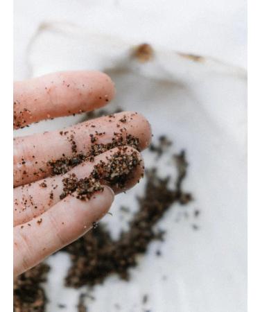 ScrubPlus Body scrub coffee grapefruit and cinnamon 250 g - Buy Online on GoSupps.com