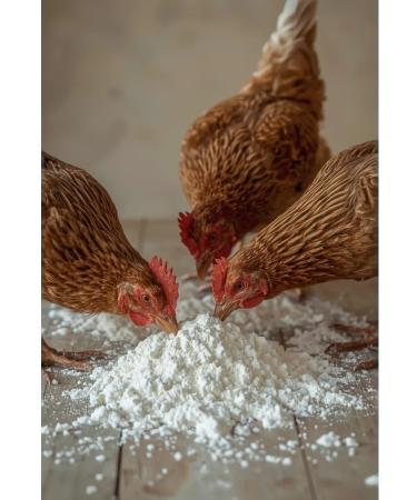 Sadovita Mel stern for chickens and animals 2 kg - Buy Online on GoSupps.com