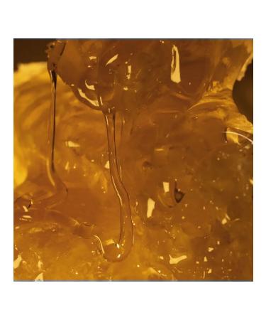 RAYYAN Hand and body cream Milk & Honey Gold- - Buy Online on GoSupps.com