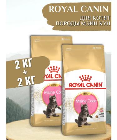 ROYAL CANIN Dry food for kittens 2 kg + 2 kg