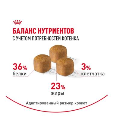 ROYAL CANIN Dry food for kittens 2 kg + 2 kg - Buy Online on GoSupps.com