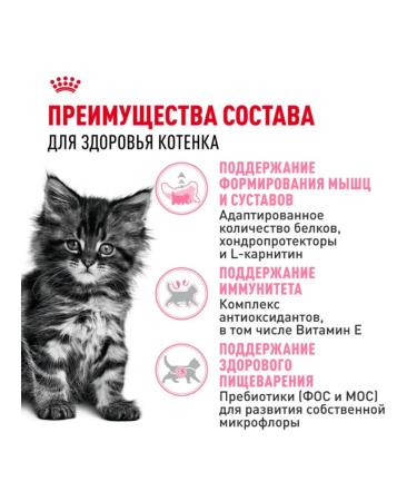 ROYAL CANIN Dry food for kittens 2 kg + 2 kg - Buy Online on GoSupps.com