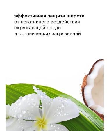 Grom for Cats Extracoat - Buy Online on GoSupps.com