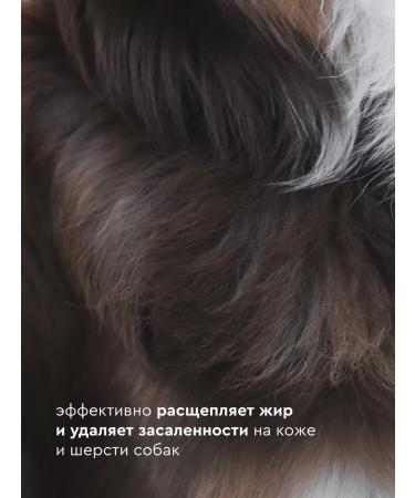 Professional shampoo for dogs Groom ExtraClean - Buy Online on GoSupps.com
