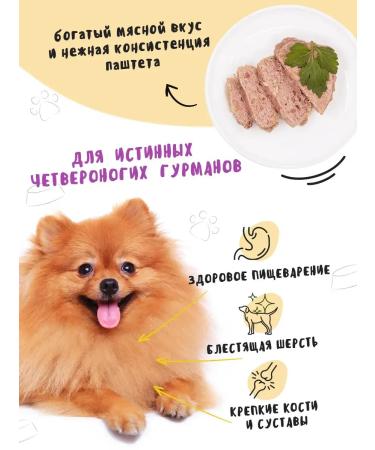 Dog food is wet with a turkey 100 g 16 pcs - Buy Online on GoSupps.com