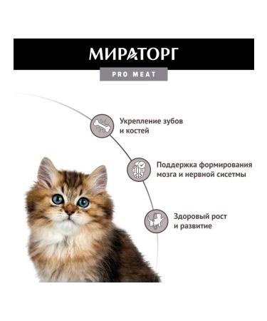 Miratorg Spider for kittens from 1 to 12 months with veal 80 grams - Buy Online on GoSupps.com
