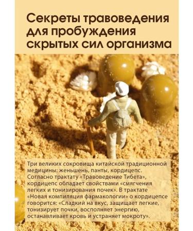 Tiens capsules with the mycelium of Cordyceps - Buy Online on GoSupps.com