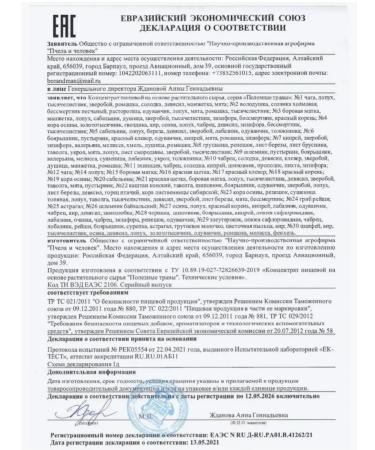 Eidos One Ground collection for pancreas - Buy Online on GoSupps.com