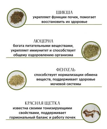 Herbs of Russia Herbal tea collection cleansing urological - Buy Online on GoSupps.com
