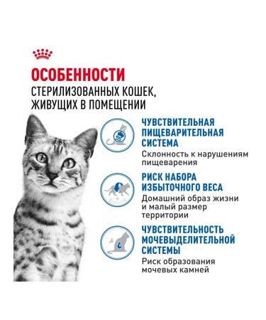 ROYAL CANIN Wet food for sterilized cats in jelly - 85 g x 28 pcs - Buy Online on GoSupps.com