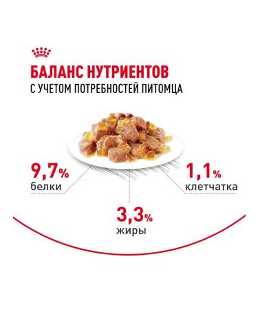 ROYAL CANIN Wet food for sterilized cats in jelly - 85 g x 28 pcs - Buy Online on GoSupps.com