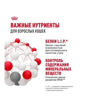 ROYAL CANIN Wet food for sterilized cats in jelly - 85 g x 28 pcs - Buy Online on GoSupps.com