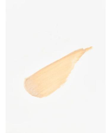 Lumene Concaler Blur tone light Light 8.5 ml - Buy Online on GoSupps.com