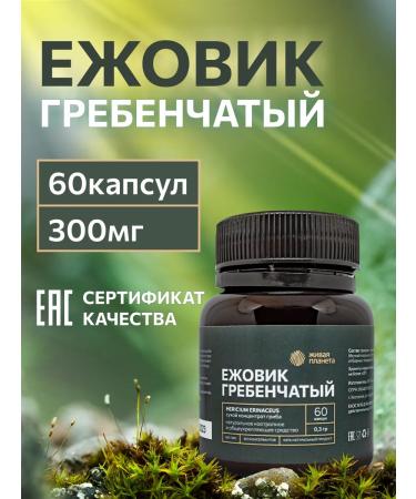 Living Planet Ezhovik Channel Mycelium 60 Capsules