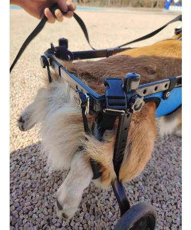 MPSALER Disabled stroller for dogs. For front paws. M - Buy Online on GoSupps.com