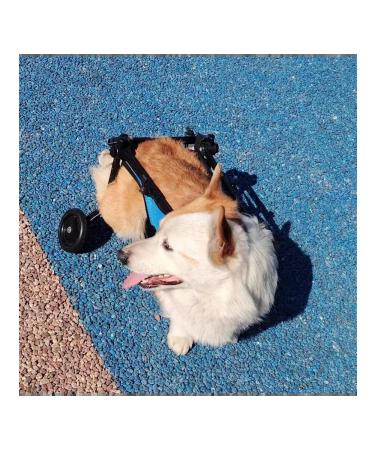 MPSALER Disabled stroller for dogs. For front paws. M - Buy Online on GoSupps.com