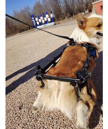 MPSALER Disabled stroller for dogs. For front paws. M - Buy Online on GoSupps.com