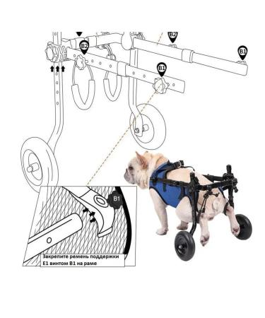 MPSALER Invalued stroller for dogs and cats. For front paws. S. - Buy Online on GoSupps.com