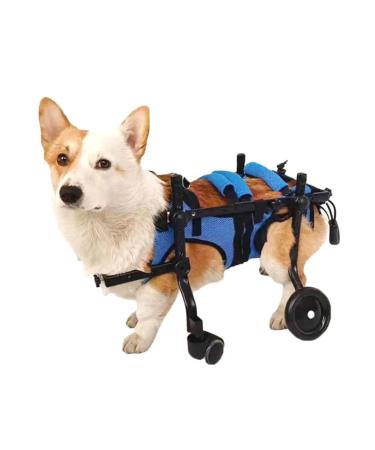 MPSALER Invalued stroller for dogs and cats. For front paws. XS - Buy Online on GoSupps.com