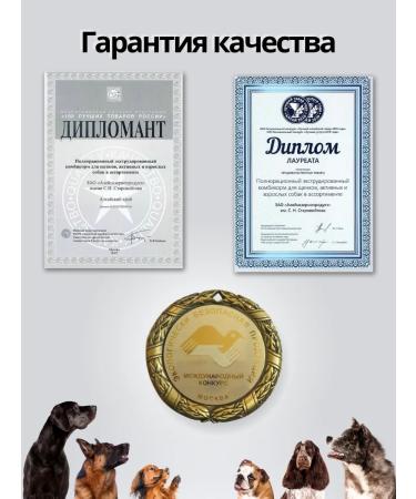 DILLY Dry food for dogs Assorted 14.8 - Buy Online on GoSupps.com