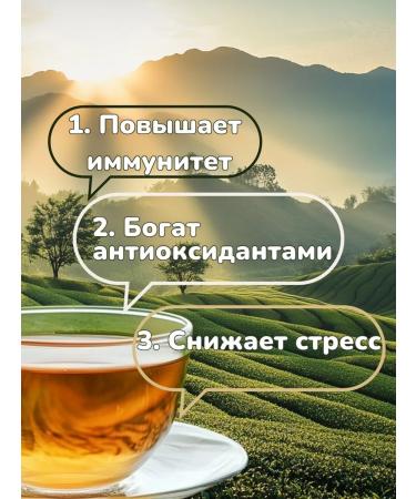 Organic India Tulsey tea Nature Chai Antioxidant and Antistress - Buy Online on GoSupps.com