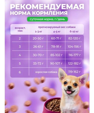 ZooRing Dry food mini puppy & junior lamb with a pumpkin 2 kg - Buy Online on GoSupps.com