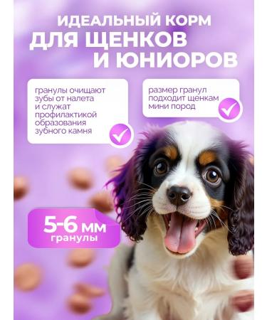 ZooRing Dry food mini puppy & junior lamb with a pumpkin 2 kg - Buy Online on GoSupps.com