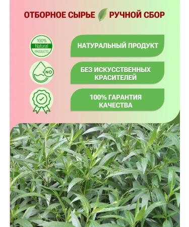 Secrets of Altai Andrographis panichered grass - Buy Online on GoSupps.com