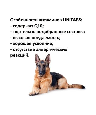 Unitabs U202 Breverscomplex with Q10 vitamins for dogs of large breeds with - Buy Online on GoSupps.com