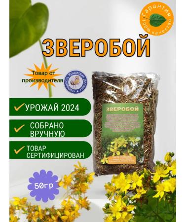 St. John's wort. Herbs. Collection