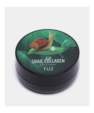 TUZ Face Kushon Tonal Tone 02 - Buy Online on GoSupps.com