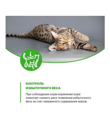 KARMY Dry food for sterile. cats with chicken 1.5 kg - Buy Online on GoSupps.com