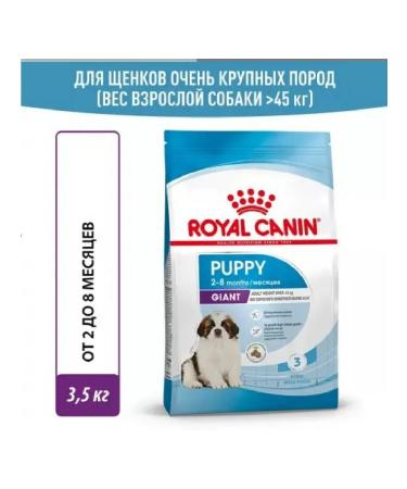 ROYAL CANIN (1 pc) 3.5 kg dry food for giant puppies