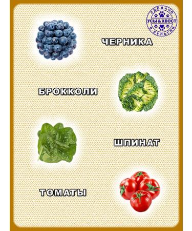 PREMIER Dry food for sterilized cats. Turkey. 2kg - Buy Online on GoSupps.com