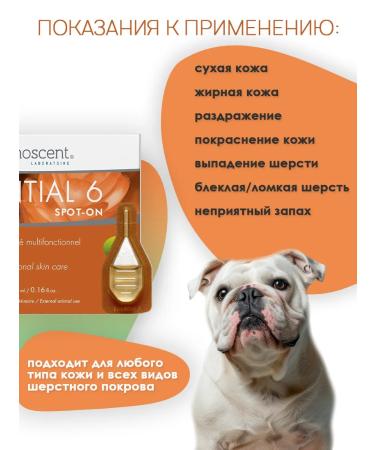 Dermoscent Essenshial 6 SPT-O Drops for the skin and wool of dogs - Buy Online on GoSupps.com