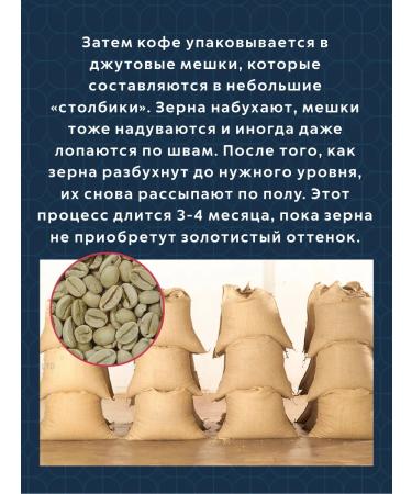 Saint Drogo Set of coffee "Sumatra Mussonon Malabar" - Buy Online on GoSupps.com