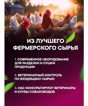 Treats for dogs dried light 1 kg - Buy Online on GoSupps.com