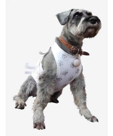 MOORLAND Popon postoperative for dogs of small and medium rocks - Buy Online on GoSupps.com