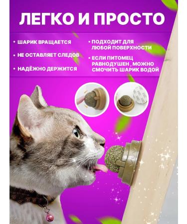 ZOO MARKET Mint and lollipop for cats - Buy Online on GoSupps.com