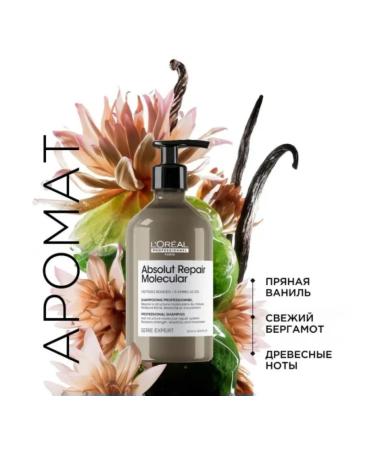 L'Oreal Professionnel ABSOLUT Repair Molecular 500 shampoo - Buy Online on GoSupps.com