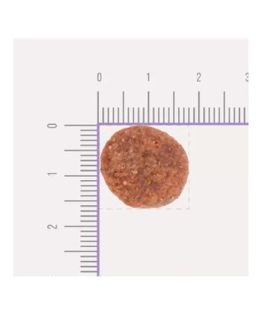 Unica Natura 1 pcs 2.5 kg mono dry food trout - Buy Online on GoSupps.com