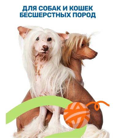 ZOORIK Sphinx shampoo bald cats and dogs 250 ml - Buy Online on GoSupps.com