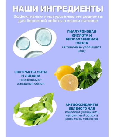 ZOORIK Sphinx shampoo bald cats and dogs 500 ml - Buy Online on GoSupps.com