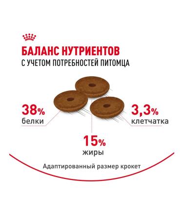 Royal Canin Feed Royal Kanin Digers KEA 10 kg - Buy Online on GoSupps.com