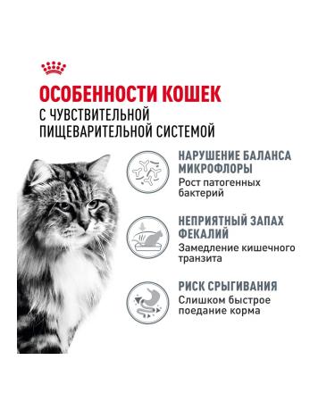 Royal Canin Feed Royal Kanin Digers KEA 10 kg - Buy Online on GoSupps.com