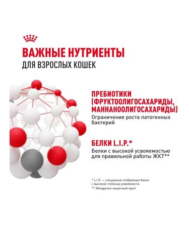 Royal Canin Feed Royal Kanin Digers KEA 10 kg - Buy Online on GoSupps.com