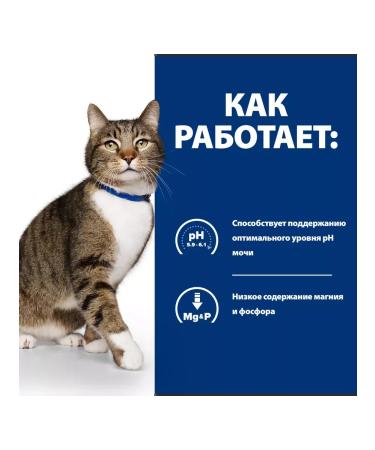 HILL'S Hills SD Urinary food for cats with ICD with chicken 3kg - Buy Online on GoSupps.com